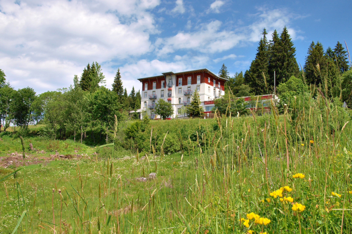 Waldhotel am Notschreipass · Todtnau