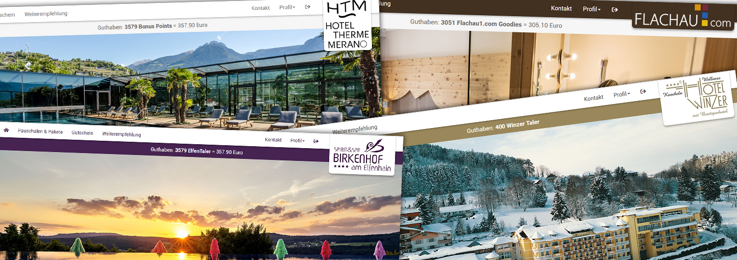 Winzer, Flachau 1, Therme Meran, Birkenhof